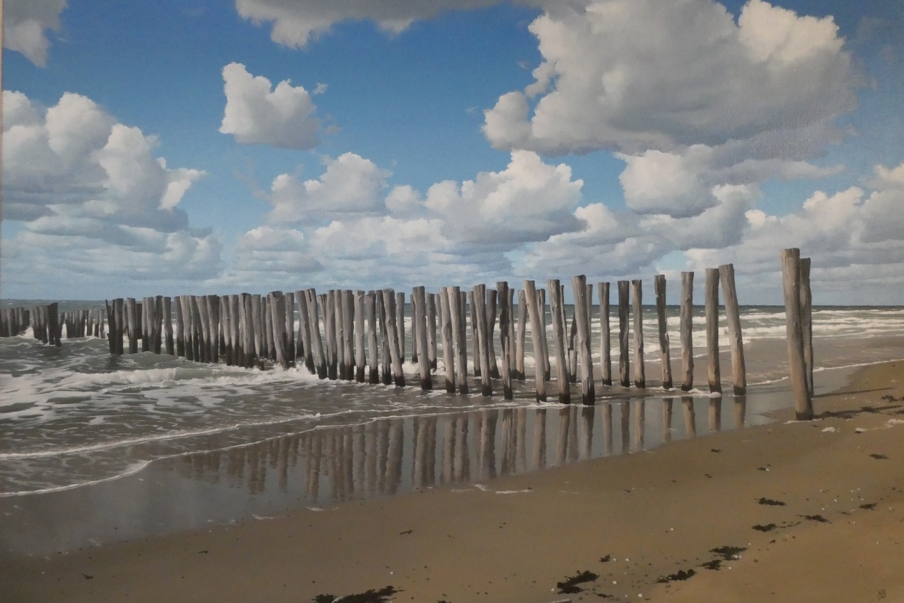 Zilt hout, Strand Burgh-Haamstede 11